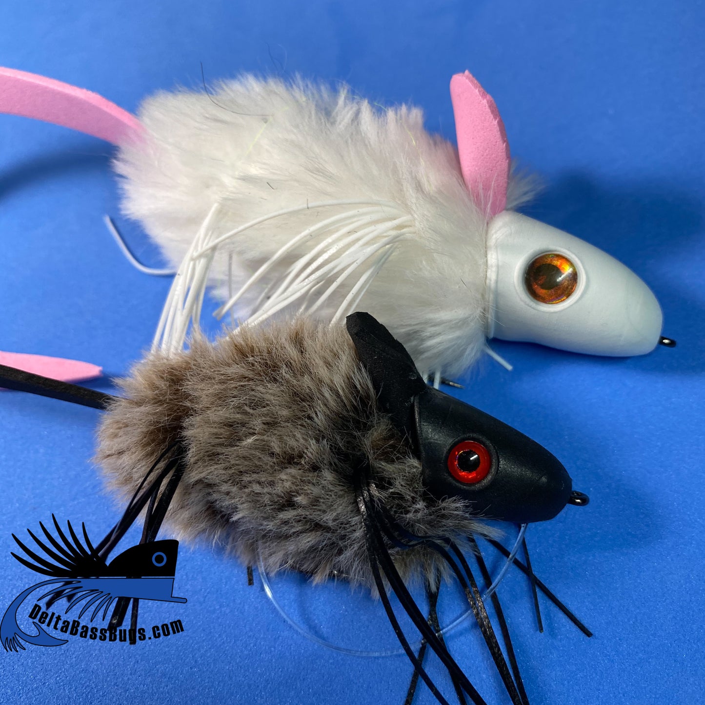 DBB Softcore Rat