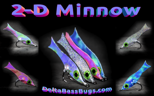 2-D Minnow