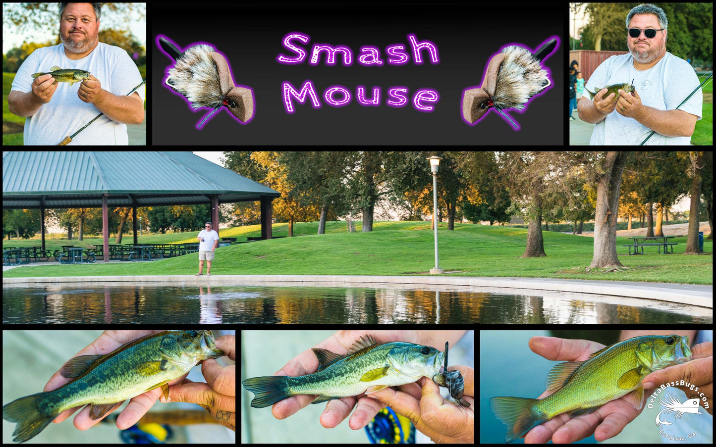 DBB Smash Mouse